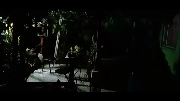 MY Niturnal Backyard Garden