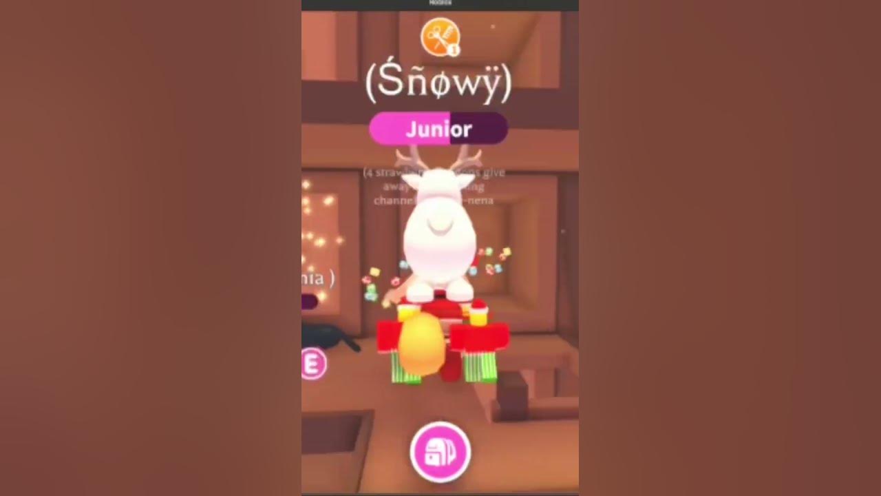 Day 16 advent calendar adopt me roblox 🎁 YouTube