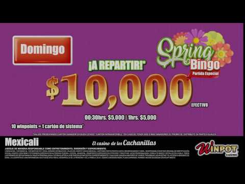 Online Casino Free Money | Caesars Slots - WILD HOWL - Mega Win in 8 Free Spins! Look at this!