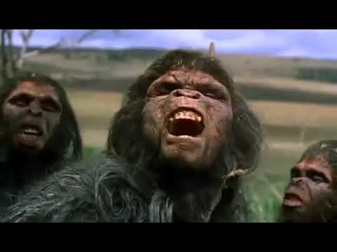 01 Prehistoria - del origen al Homo Erectus