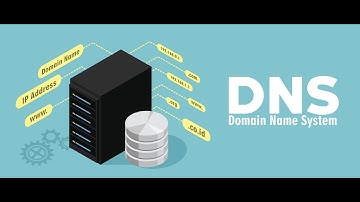 HSC +2||Computer Applications||Chapter 12 DNS