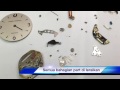 Tukang jam bergerak 16/2/2017