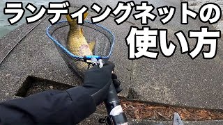 How to use a landing net [Fishing]