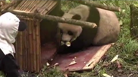 Take a Look at This!