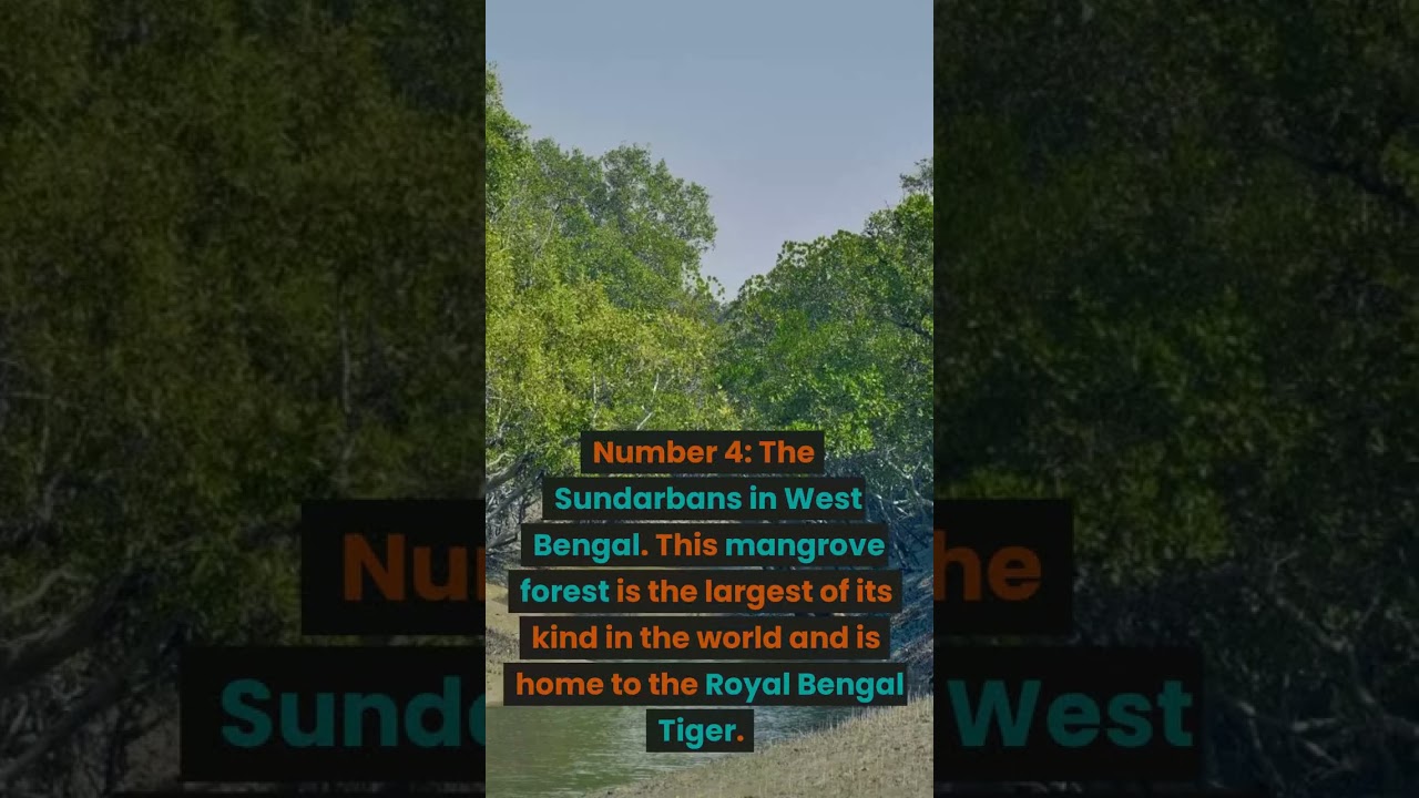 Top 5 Most Incredible Landscapes in India 