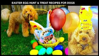 EASTER EGG HUNT DOG PARTY RECIPE TREATS COMPILATION - DIY Dog Food by Cooking For Dogs by CookingForDogs 1,835 views 7 years ago 16 minutes