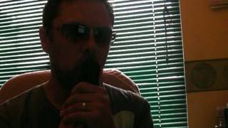 you know i'm no good - chromatic harmonica