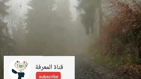 صوت المطر ياخذك إلى عالم خيالي Mp3