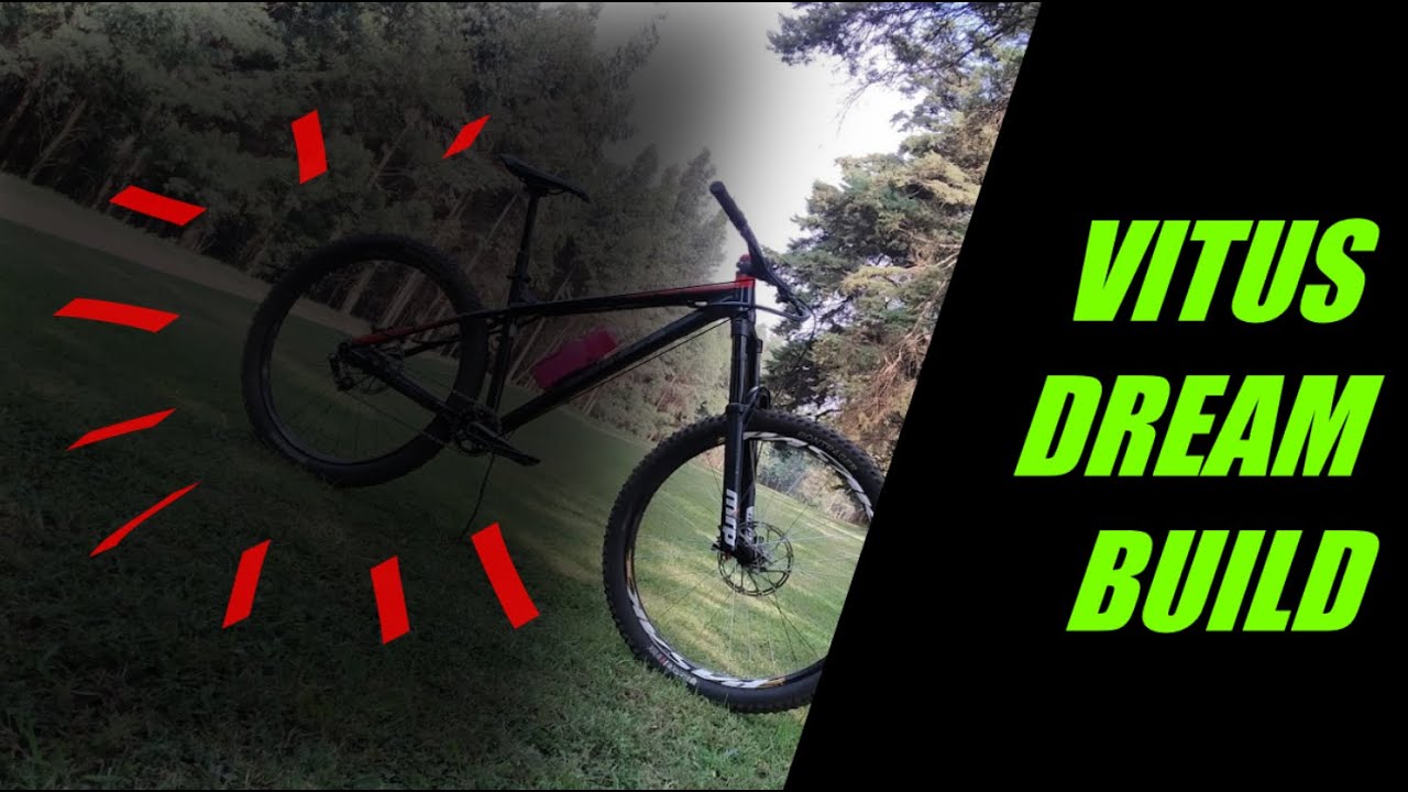 Vitus Sentier VRX Singlespeed Dream build raw | Best Hardcore hardtail MTB