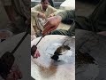 Making liver on tawwa | peshawer dabgari garden | #youtubeshorts #streetfood
