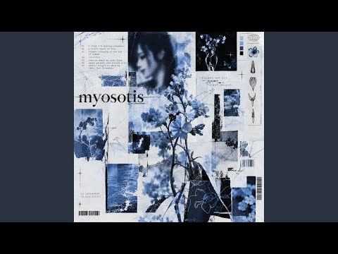 Flowers Blooming at the End of Summer trailer thumbnail