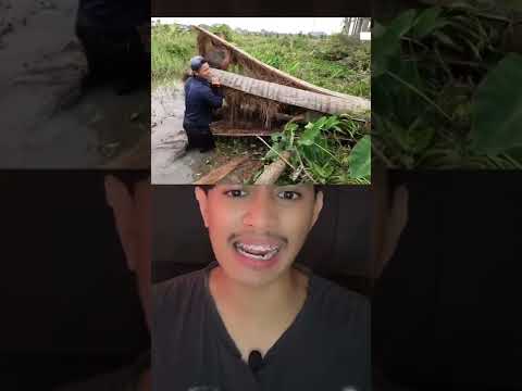 MAKHLUK APAKAH DIDALAM POHON KELAPA INI⁉️😱 (pt 2) | Ale Khin #shorts #filmpendek