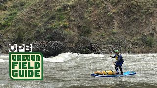 Paddleboarding the desert wonders of the John Day River