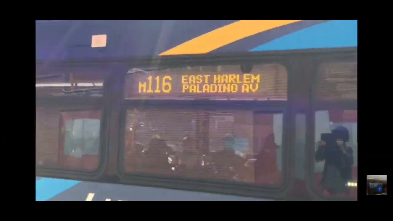MTA BUS M1 M102 M116 Training Bus BXM11 Bus Action Along 116th mta-bus-m1-m102-m116-training-bus-bxm11-bus-action-along-116th