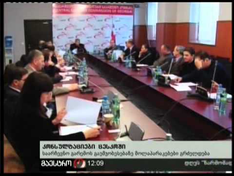 08/12/10 კონსულტაციები ცესკოში