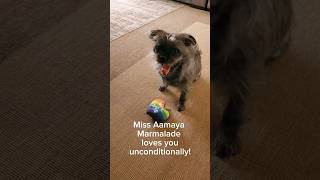 Maya and Morty: A Very Important Message  from Miss Aamaya Marmalade!