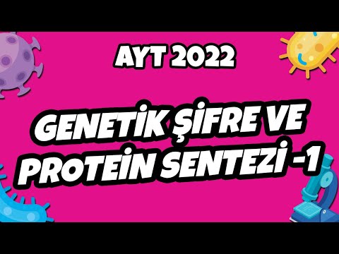 AYT Biyoloji - Genetik Şifre ve Protein Sentezi - 1  | AYT Biyoloji 2022 #hedefekoş