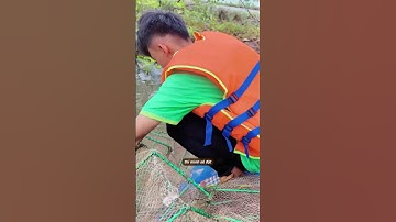 12 cửa ngục - nghệ thuật giăng bẫy cá của "Người Giữ Rừng" | Bác Tôm x Người Giữ Rừng