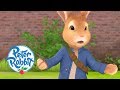 Peter Rabbit - Danger in the Garden | Cartoons for Kids