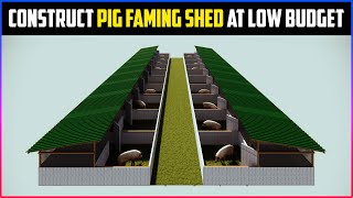 Pig Faming Shed Plan At Low Budget | How To Construct Hog/Swine Farming Shed For Beginners