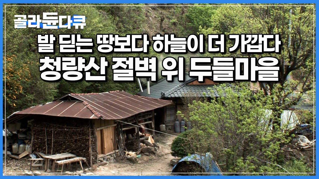 사람의 온기 조차 없는 청량산 절벽 아래, 딱 두가구만이 살고 있는 마을┃30년 넘게 이 곳을 지킨 할머니와 할아버지┃한국기행┃#골라듄다큐