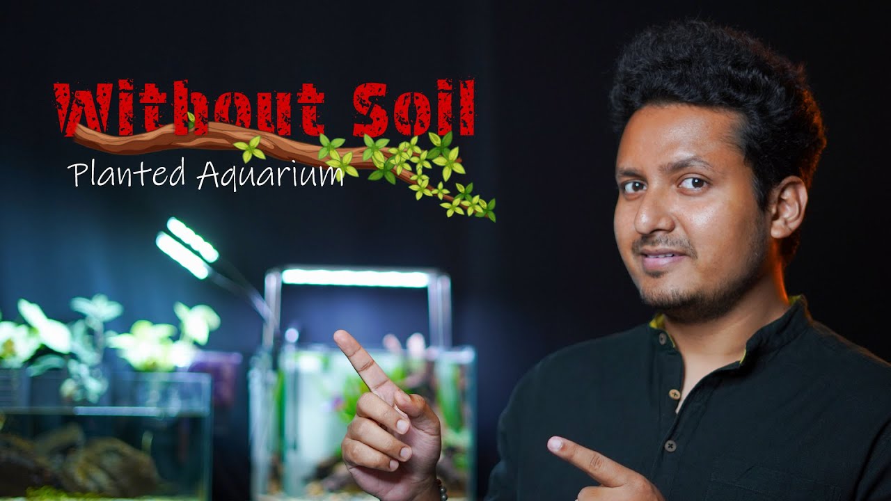 Without Soil Aquarium Plants | কোনোরকম মাটি ছারাই Planted Aquarium বানান খুব সহজে ।