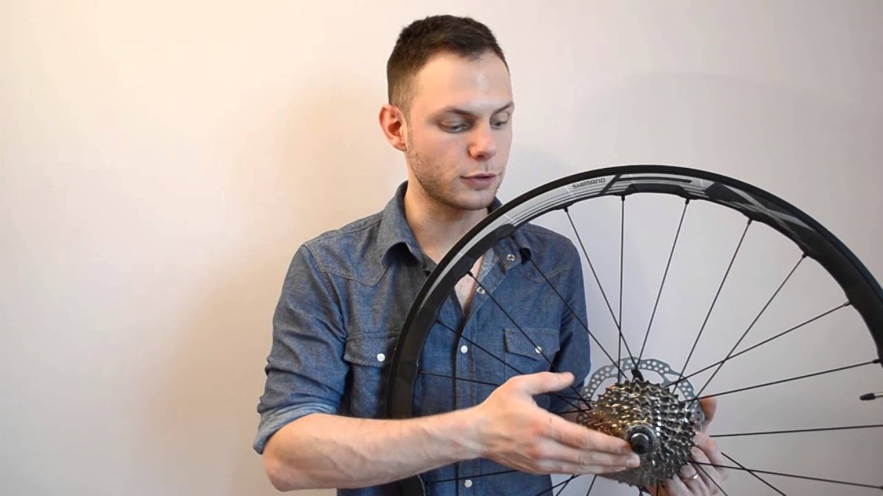 Smontaggio Ruota Posteriore Ruota Anteriore Mtb 29 Perno Passante