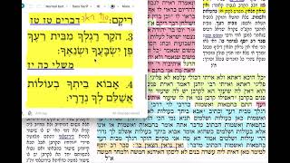 דף יומי מסכת חגיגה דף ז Daf yomi chagigah daf 7
