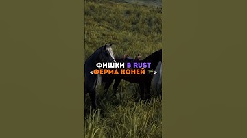 ⚡️Фишки в RUST «Ферма коней🐎»  #rust #раст #держидверь #бзден