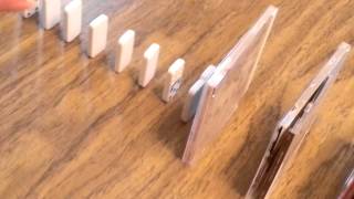 Rube Goldberg Machine/Project: Water My Plant