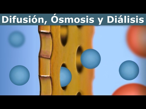 Video: ¿La hemodiálisis es difusión u ósmosis?