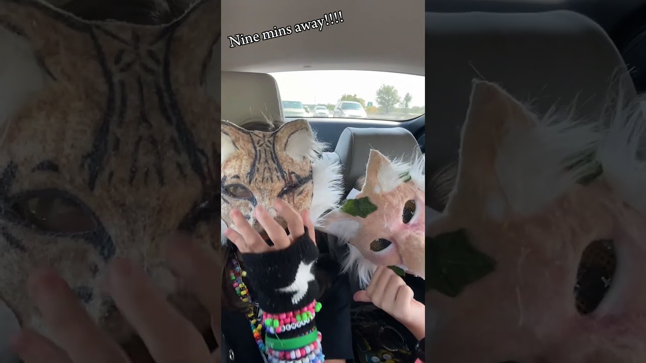 Meeting Clawed Beauty101 Therian Furry Quadrobics Antizoo Theriantropy Scenekid