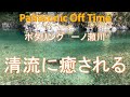 【ポタリング】伊勢志摩：度会町　一ノ瀬川と鈴木水産　:ミニベロ（折り畳み自転車） パナソニック OFF TIME の旅