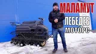 Мини вездеход Маламут от Лебедев Моторс.