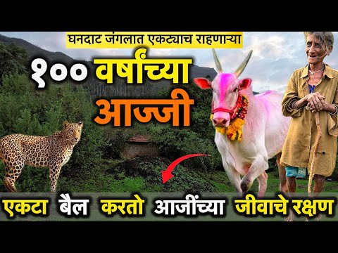 १०० वर ष च य आज घनद ट ज गल त एकट य न च र हत ज वन जगत यत स बत ल स क ष त मह द व च न द