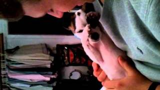 Pup Hates Smelly Burps