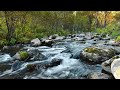 Huzur veren dinlendirici su sesi dinle  ruhu dinlendiriyor