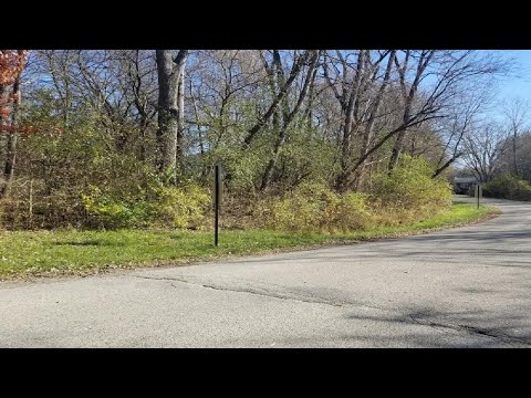 4802 Brorson Lane, Johnsburg, IL home video tour