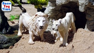 Wild Safari Animals Toys in the Sand box Watering Hole - Learn Zoo Animal Names For Kids Wild Safari Animals Toys in the Sand box Watering Hole - Learn Zoo Animal Names For Kids