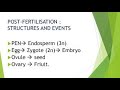 Chapter 2 : Sexual Reproduction In flowering Plants : Post Fertilization events -Endosperm formation