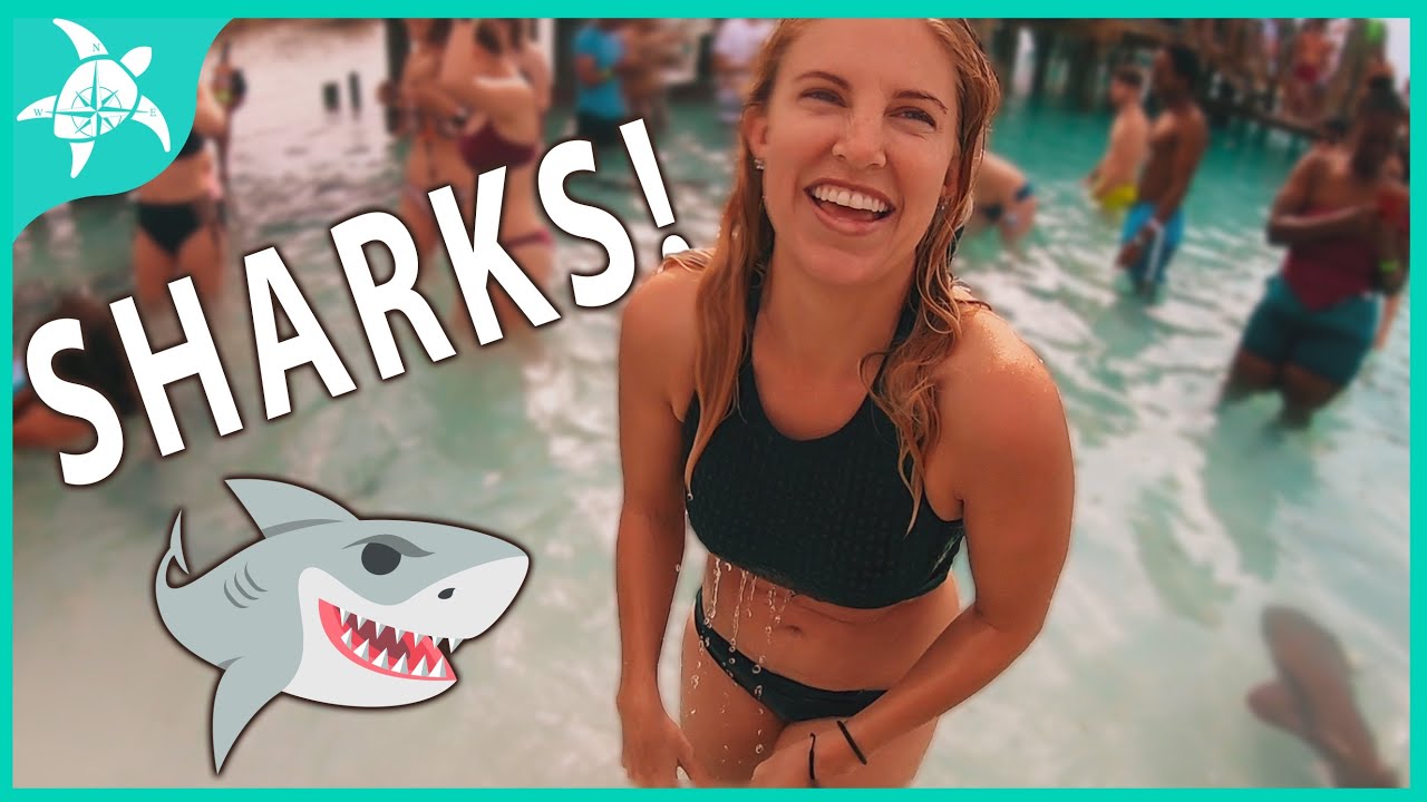 SAILING to the EXUMAS! Facing a FEAR & Swimming with SHARKS!