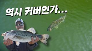 [피싱로그99.9] #268회 배스낚시는 역시 커버에 깊숙히