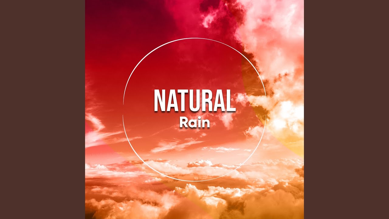 The Pitter Patter of Rain YouTube