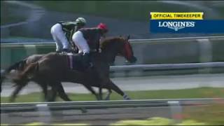 Singapore 20171124 race 1 MAXIMUS