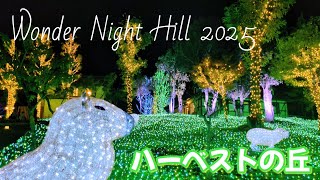 【ハーベストの丘】イルミネーションイベント『Wonder Night Hill 2025 』