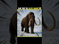 Can extinct Animals Be Alive Again? Animals rebirth ?🤯#shortsfeed #shorts