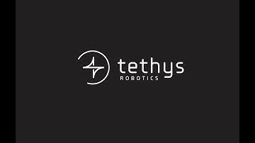 Introduction Tethys Robotics