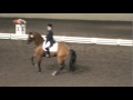 Orion  elizabeth ball  fei cdi grand prix freestyle   evening of musical freestyles 2011