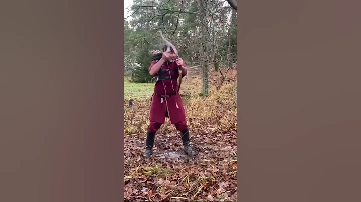 10 arrows in 10 seconds by Mihai Cozmei