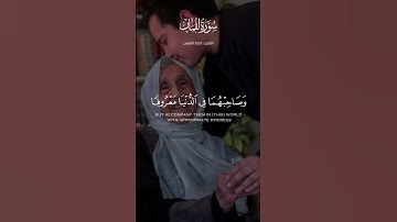 تلاوة رائعة للقارئ أحمد النفيس #احمد_النفيس #القرآن_الكريم #تلاوات #تلاوة_خاشعة #تلاوة_هادئة